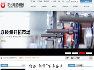 山东阳谷电缆集团有限公司